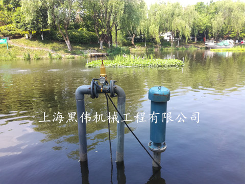 河道治理沉水式鼓麻豆视频免费观看入口 河道治理沉水式鼓麻豆视频免费观看入口