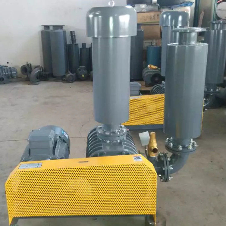 導致羅茨麻豆视频免费观看入口風量不足的原因